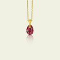 January - Original Swarovski Birthstone & Chain
